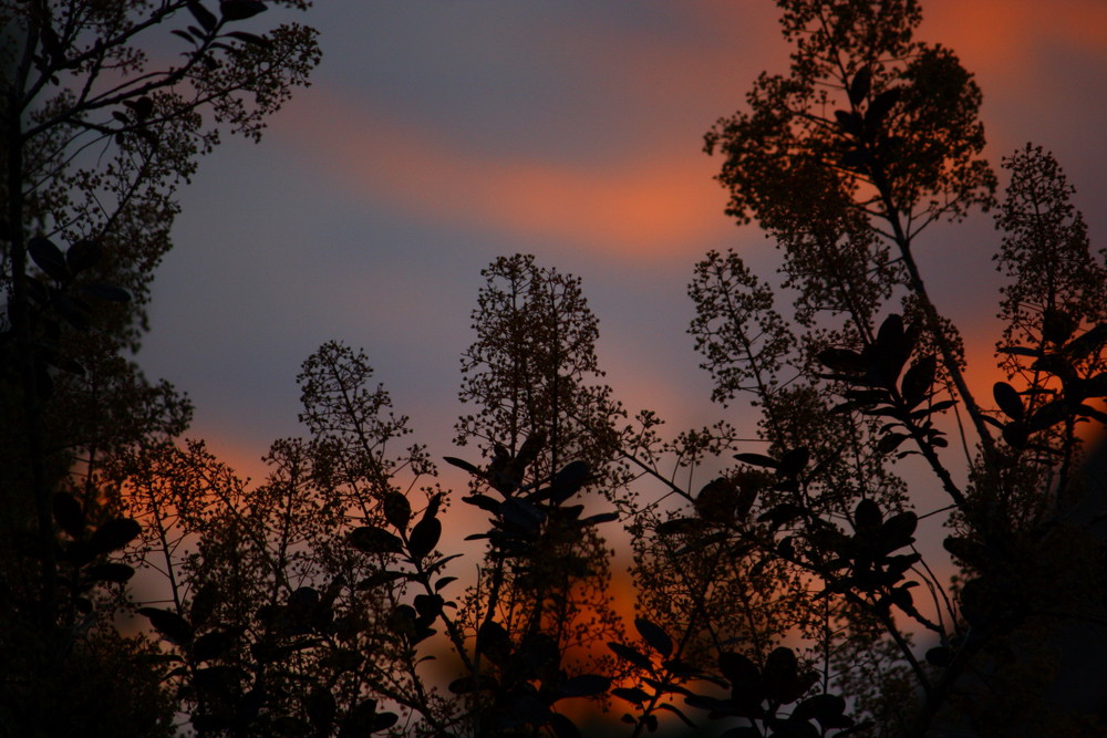 Sonnenuntergang mal anders