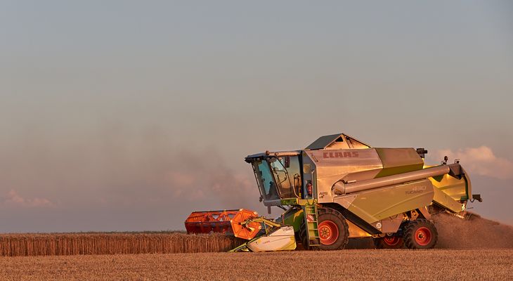 Sonnenuntergang mal anders, hinter mir geht die Sonne rot unter, da war ich zum richtigen...