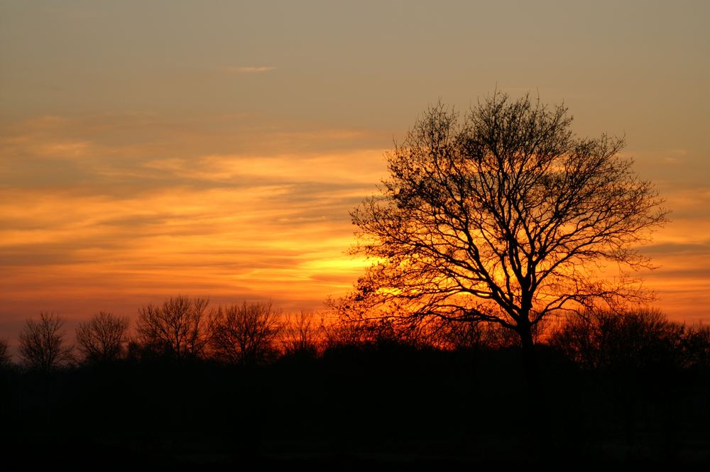 Sonnenuntergang, mal wieder :-)