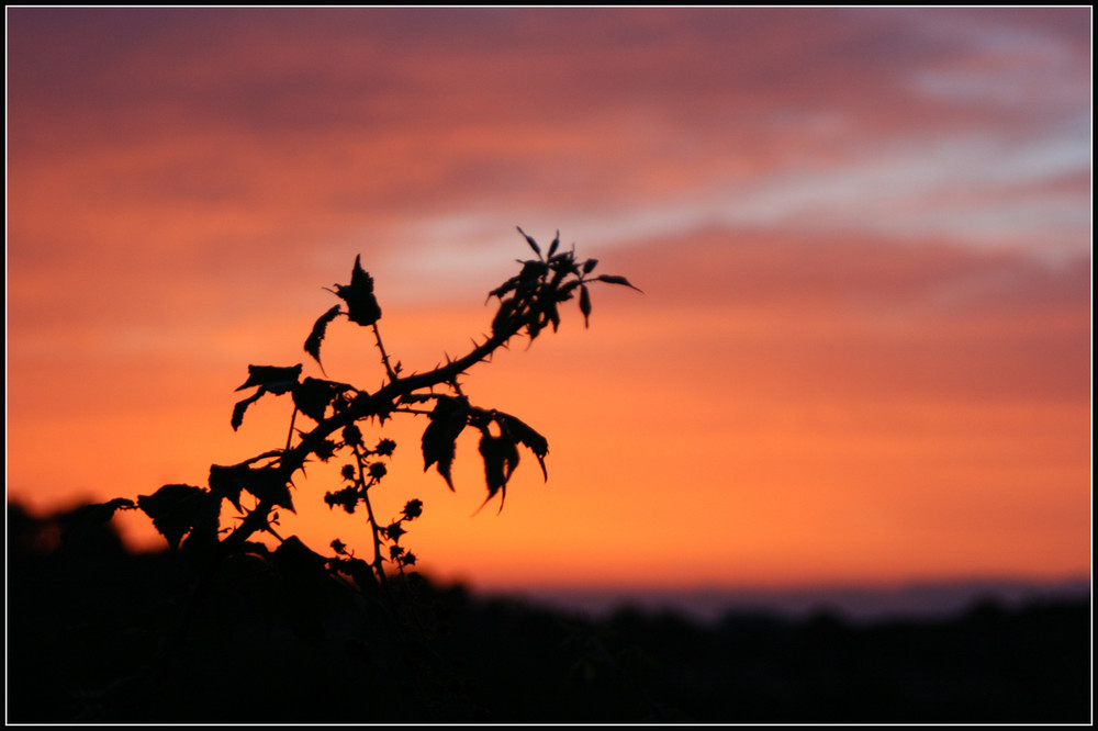 Sonnenuntergang Mallorca 2