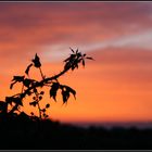 Sonnenuntergang Mallorca 2