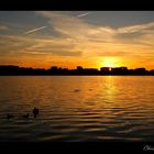 Sonnenuntergang Maschsee 2