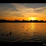 Sonnenuntergang Maschsee 2