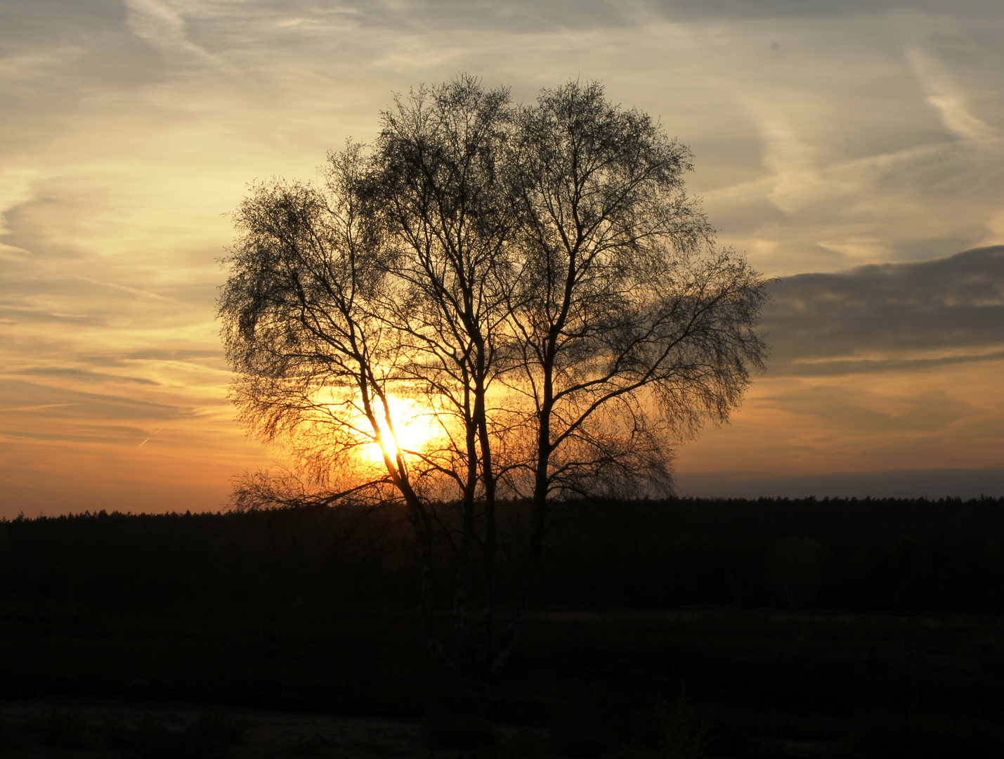 Sonnenuntergang Mehlinger Heide