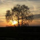 Sonnenuntergang Mehlinger Heide