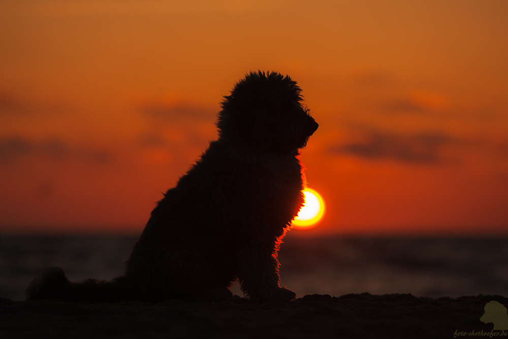 Sonnenuntergang? Mir doch egal.....