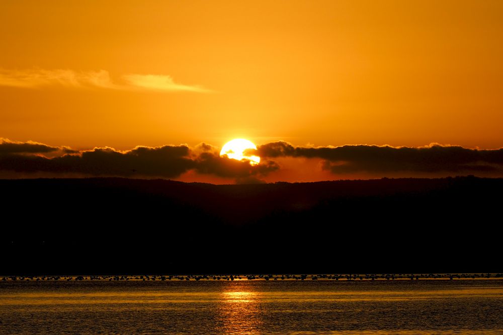 Sonnenuntergang mit Austernbänke