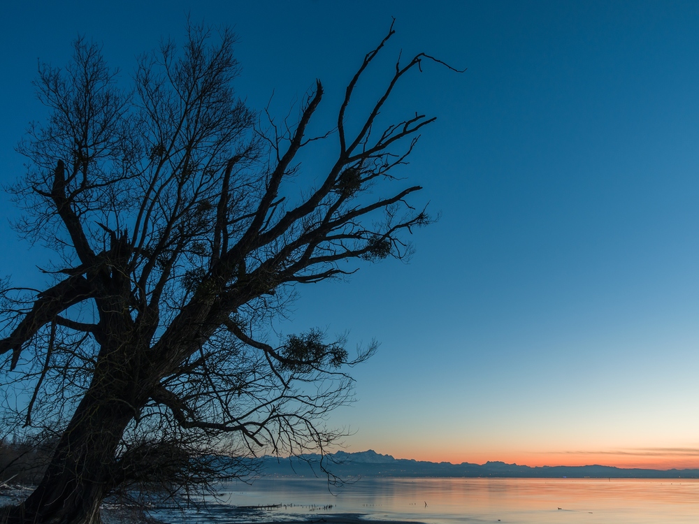 Sonnenuntergang mit Baum