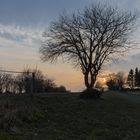 Sonnenuntergang mit Baum