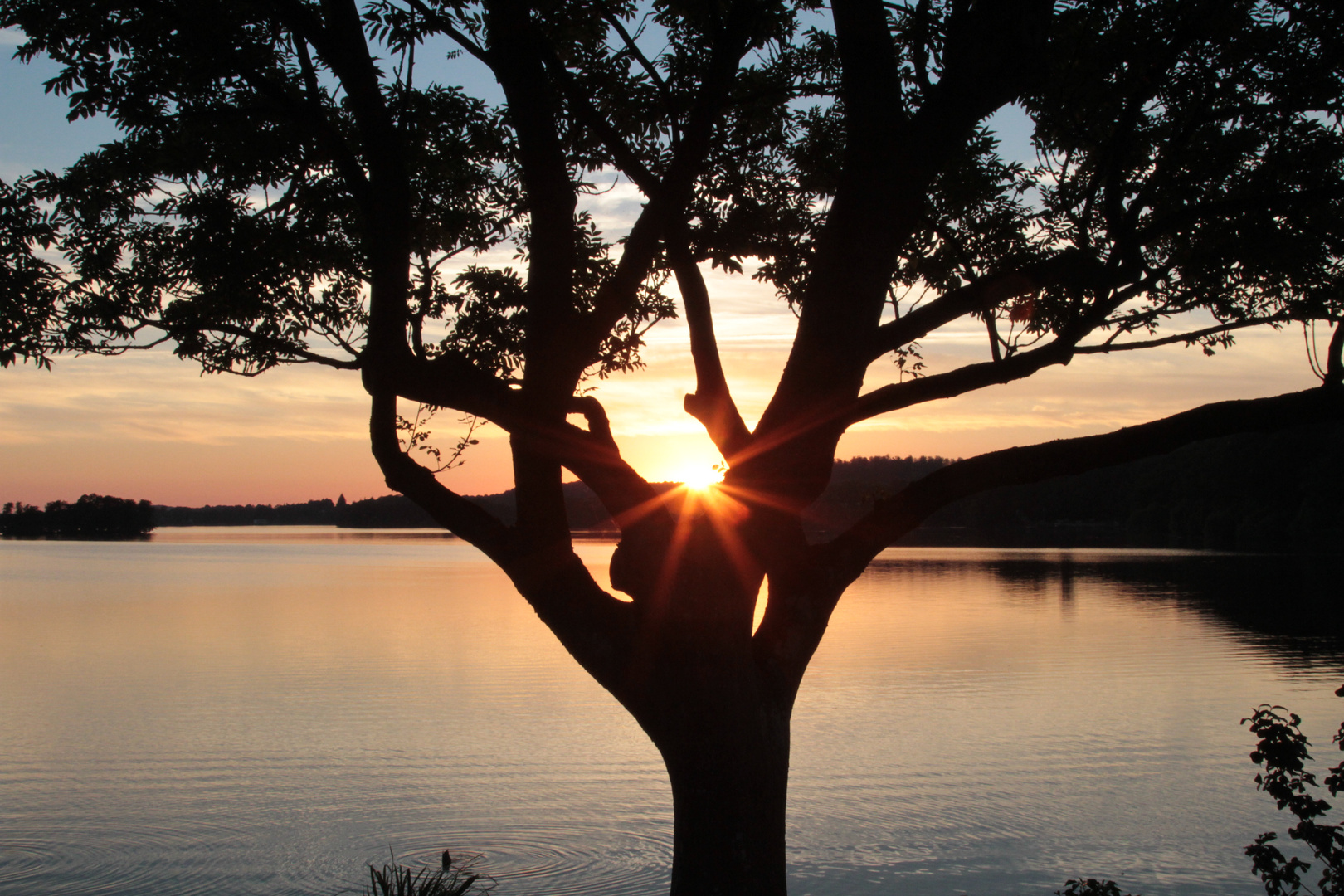 Sonnenuntergang mit Baum Malente 2012