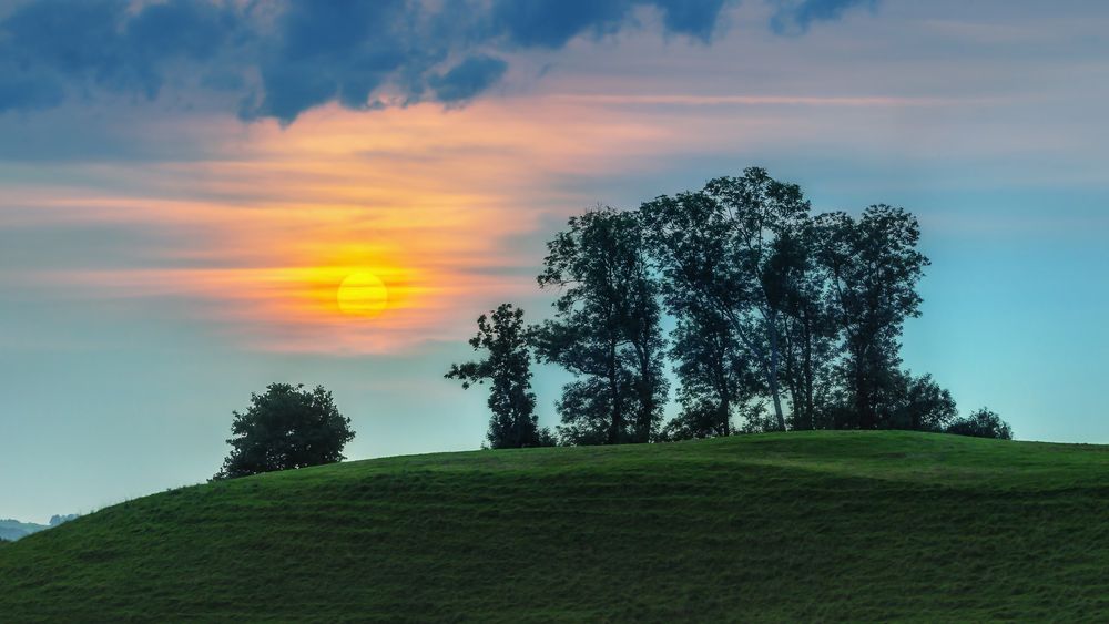 Sonnenuntergang mit Baumgruppe