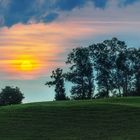 Sonnenuntergang mit Baumgruppe