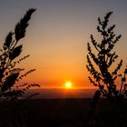 Sonnenuntergang mit Blick auf die Rheinebene