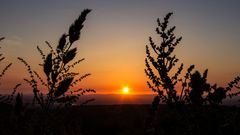 Sonnenuntergang mit Blick auf die Rheinebene