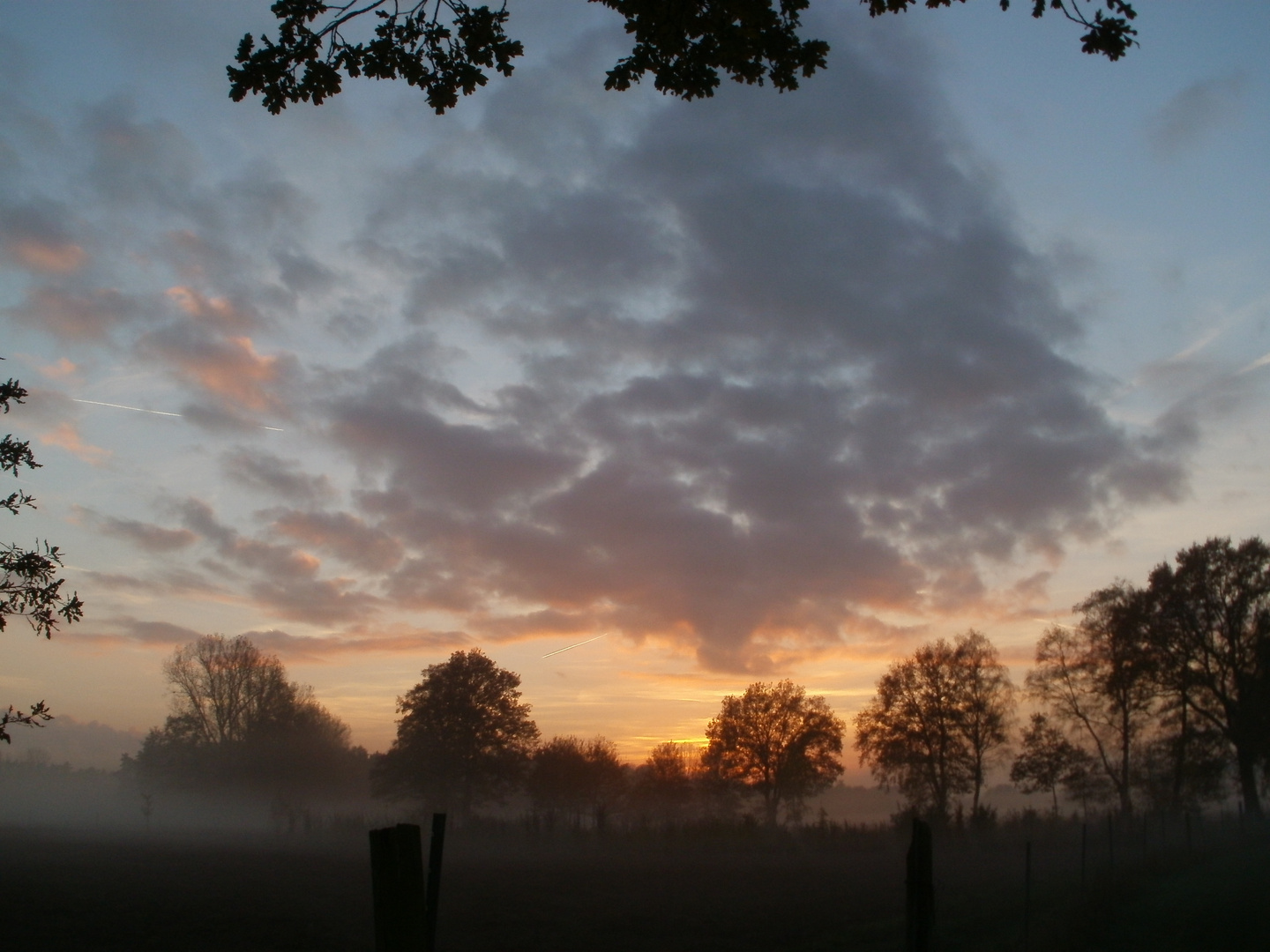 Sonnenuntergang mit Bodennebel