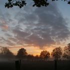 Sonnenuntergang mit Bodennebel