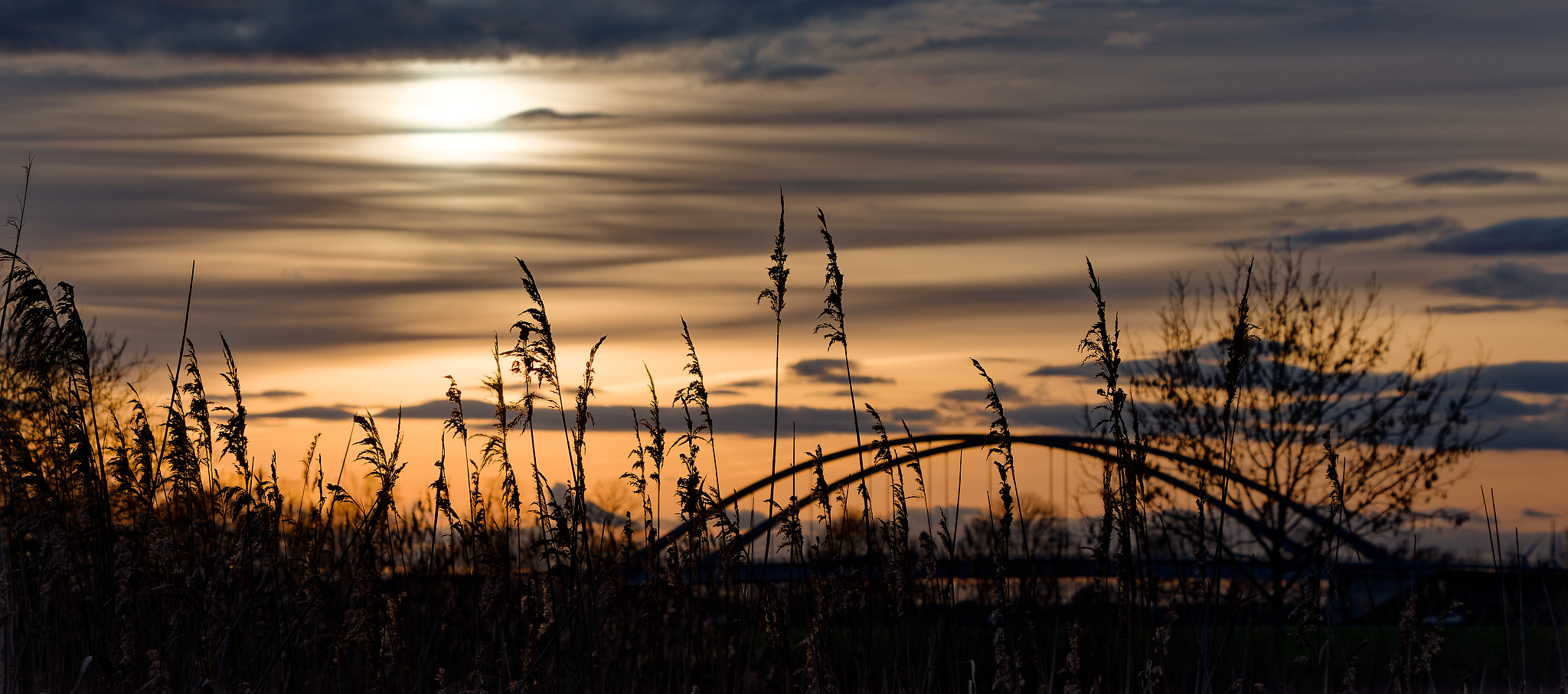 Sonnenuntergang mit Brücke und Schilf im Vordergrund