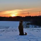 Sonnenuntergang mit Caneli