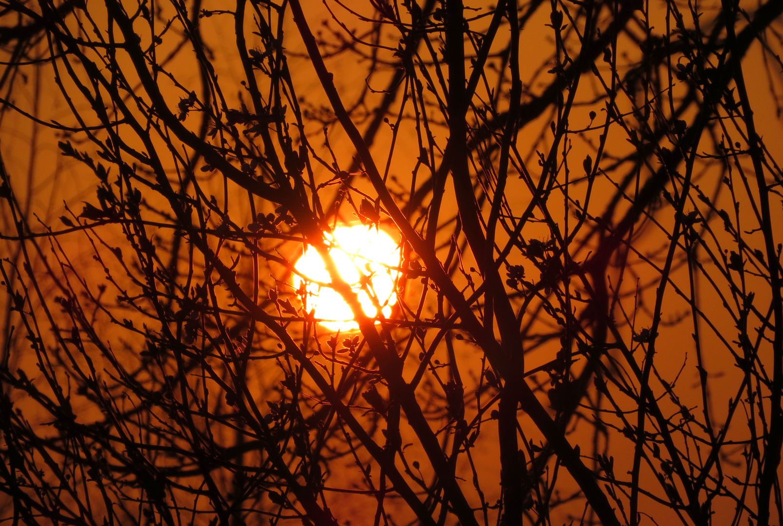 Sonnenuntergang mit Durchblick ...