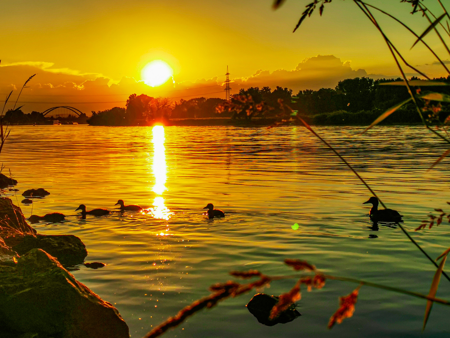  Sonnenuntergang mit einer Enten Familie :) 