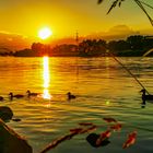  Sonnenuntergang mit einer Enten Familie :) 