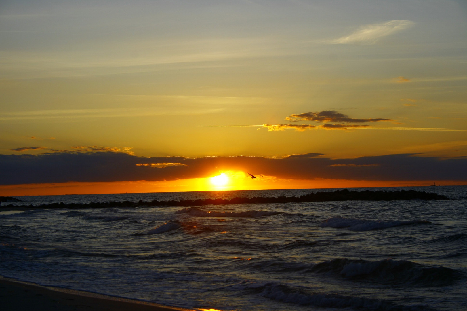 Sonnenuntergang mit einer Möve 2