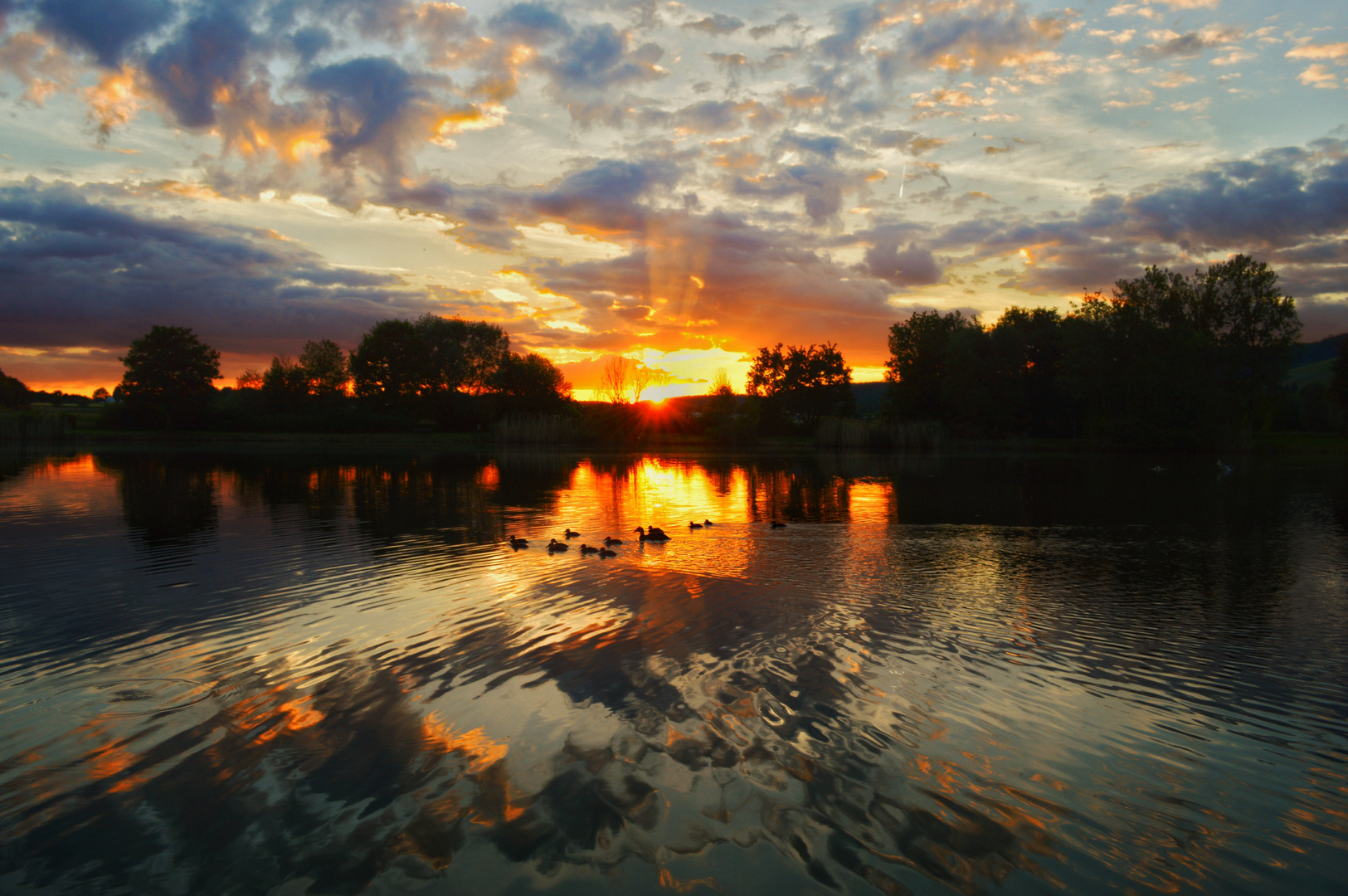 Sonnenuntergang mit Entenfamilie