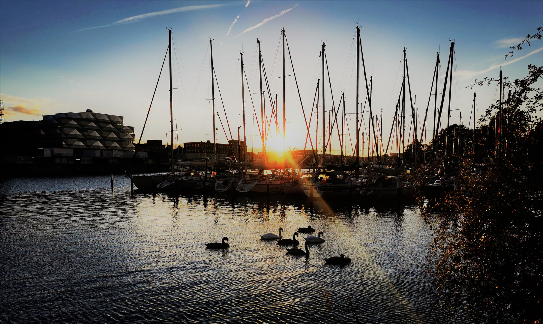 Sonnenuntergang mit Familie Schwan 