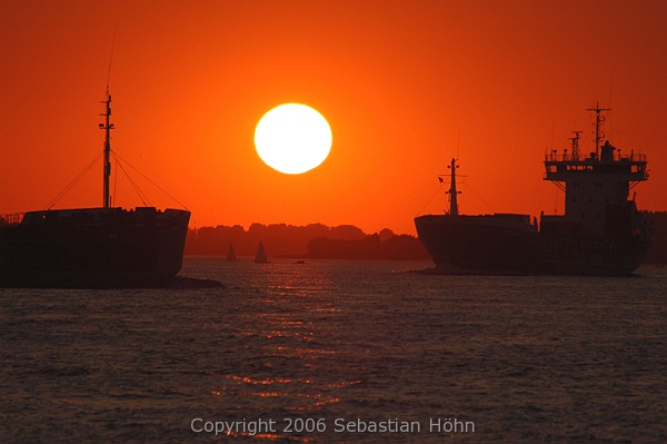 Sonnenuntergang mit Feedern