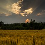 Sonnenuntergang mit Gewitter im Rücken