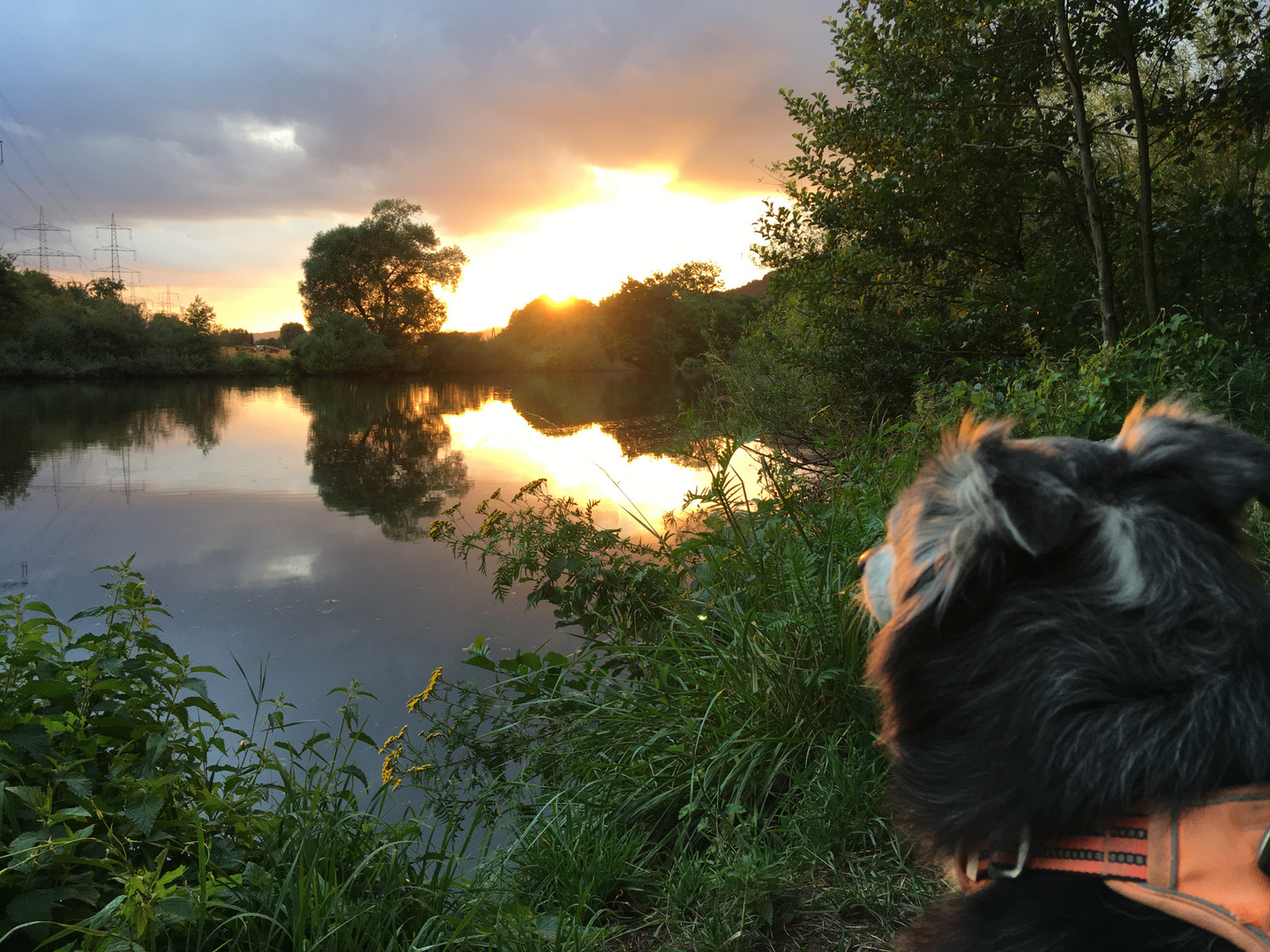 Sonnenuntergang mit Hund