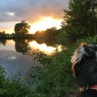 Sonnenuntergang mit Hund