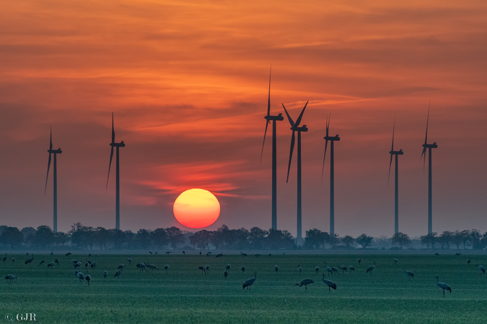 Sonnenuntergang mit Kranichen