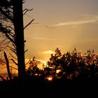 Sonnenuntergang mit Kranichen