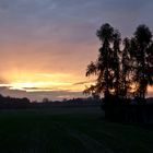 Sonnenuntergang mit Lärchen