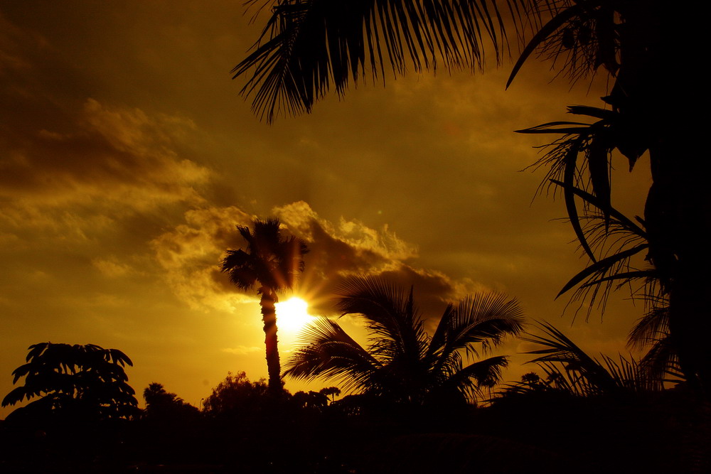 Sonnenuntergang mit leichter Bewölung