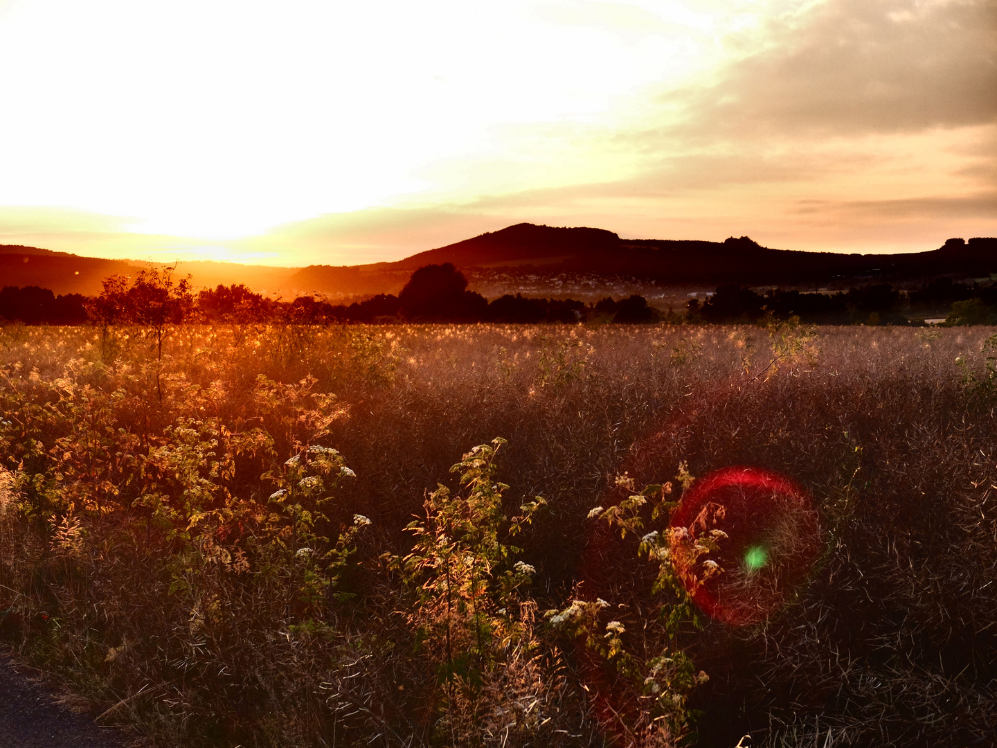 Sonnenuntergang mit Lenseflare