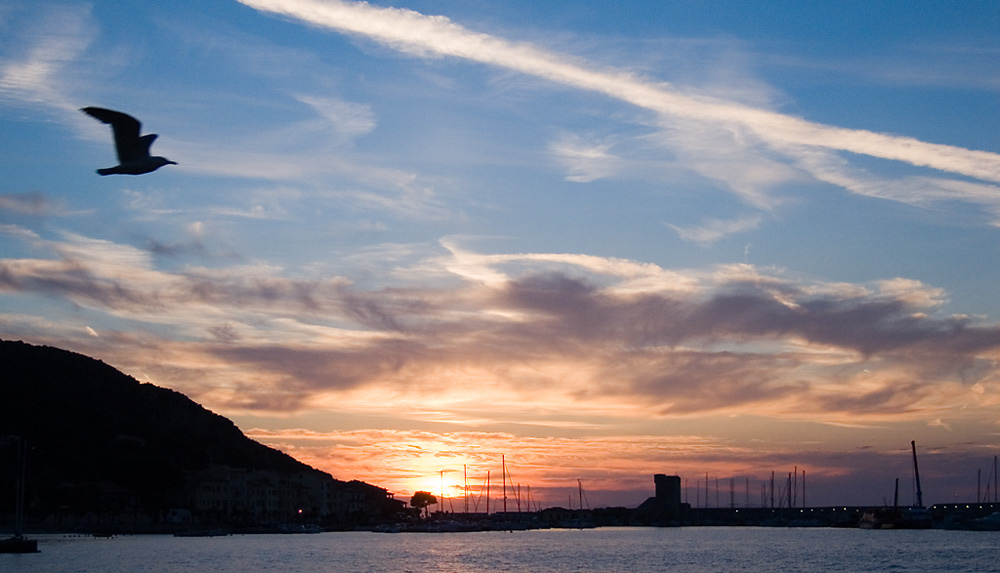 Sonnenuntergang mit Möve in Marciana Marina