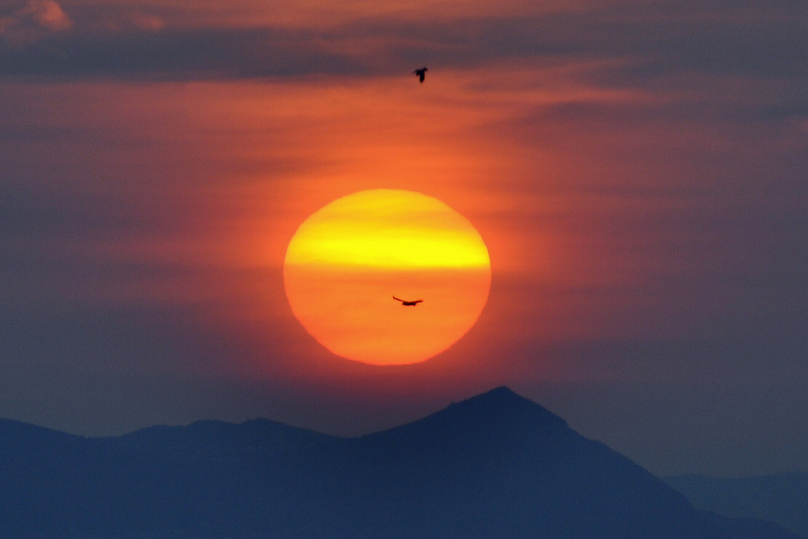 Sonnenuntergang mit Möven