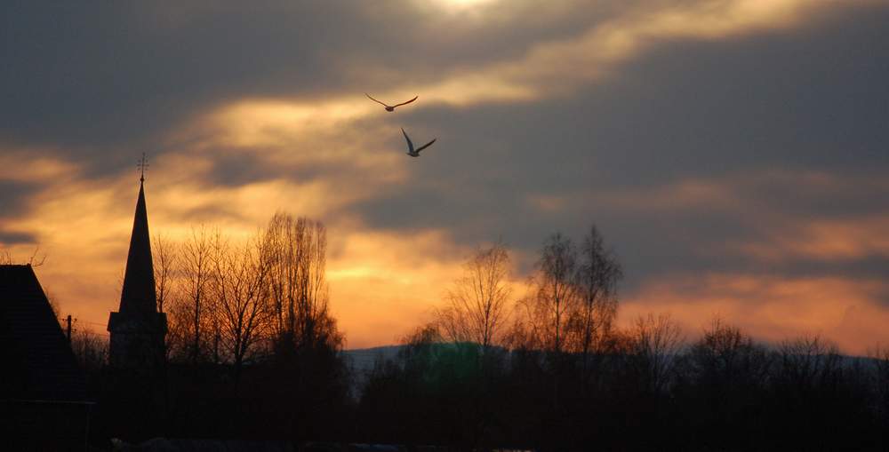 Sonnenuntergang mit Möwen