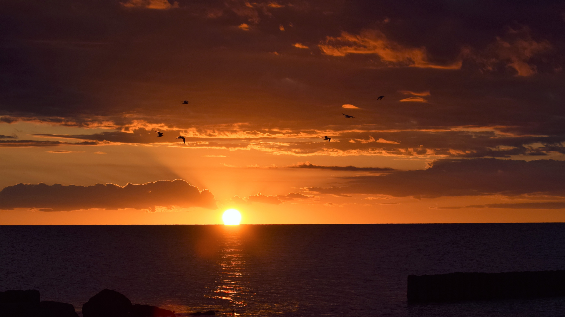 Sonnenuntergang mit Möwen