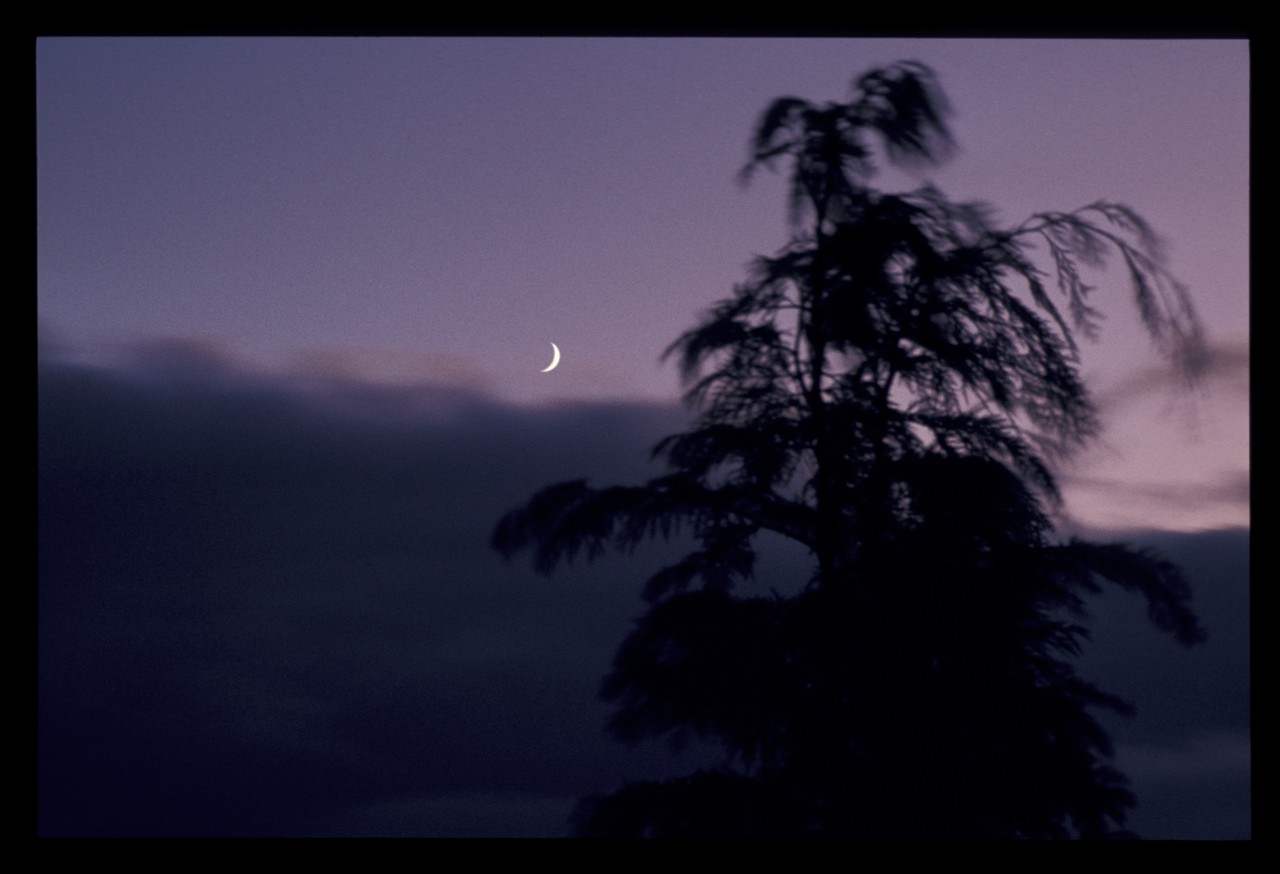 Sonnenuntergang mit Mond-19821102