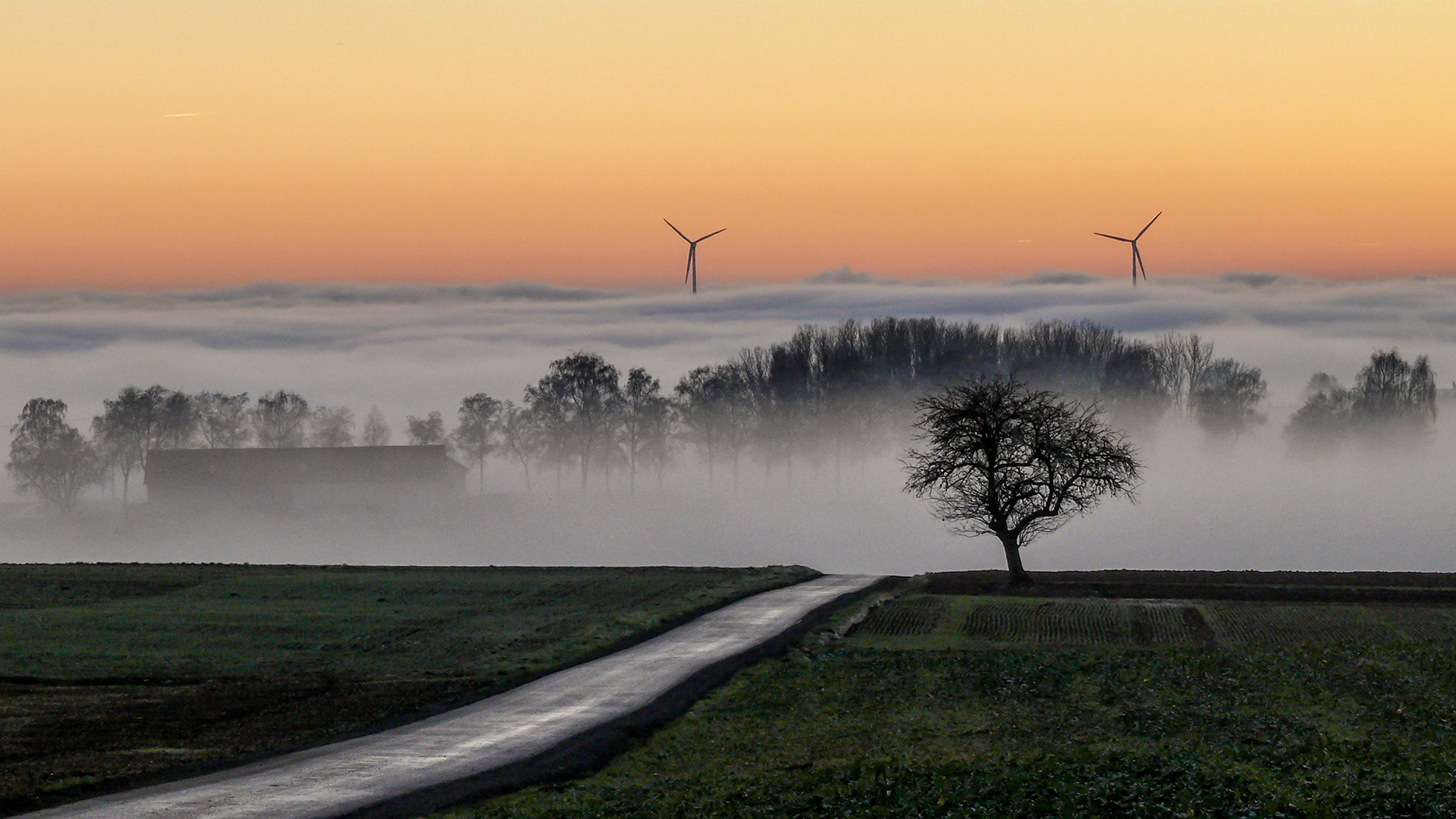 Sonnenuntergang mit Nebel