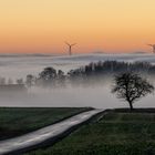 Sonnenuntergang mit Nebel