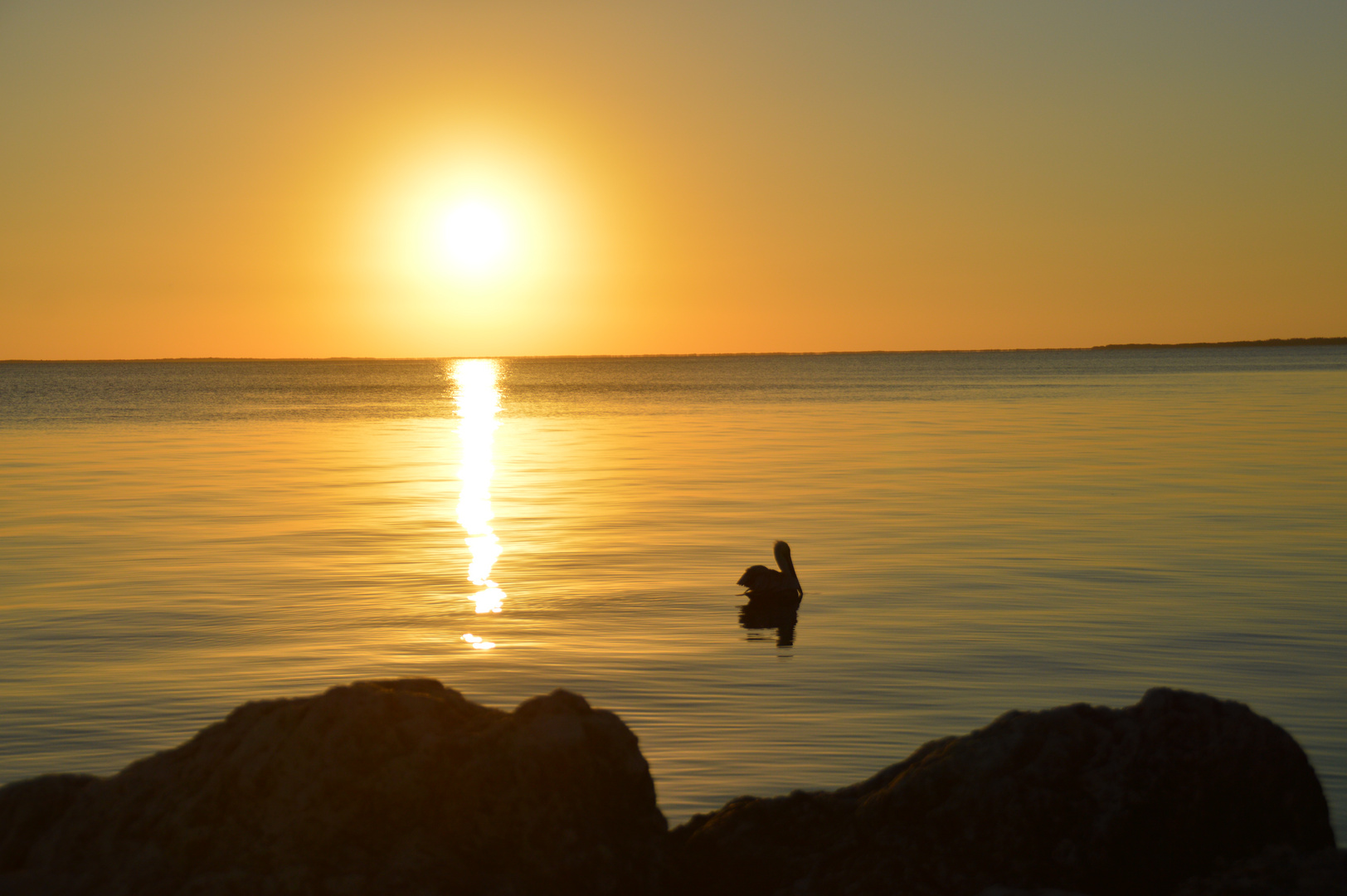 Sonnenuntergang mit Pelikan auf Key West