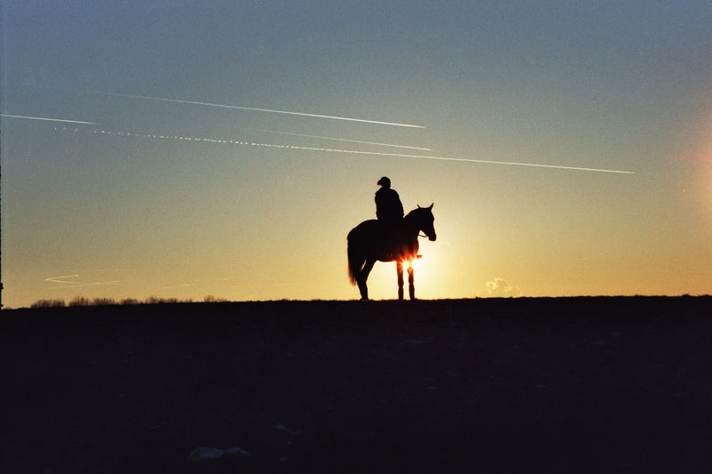 Sonnenuntergang mit Pferd