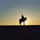 Sonnenuntergang mit Pferd