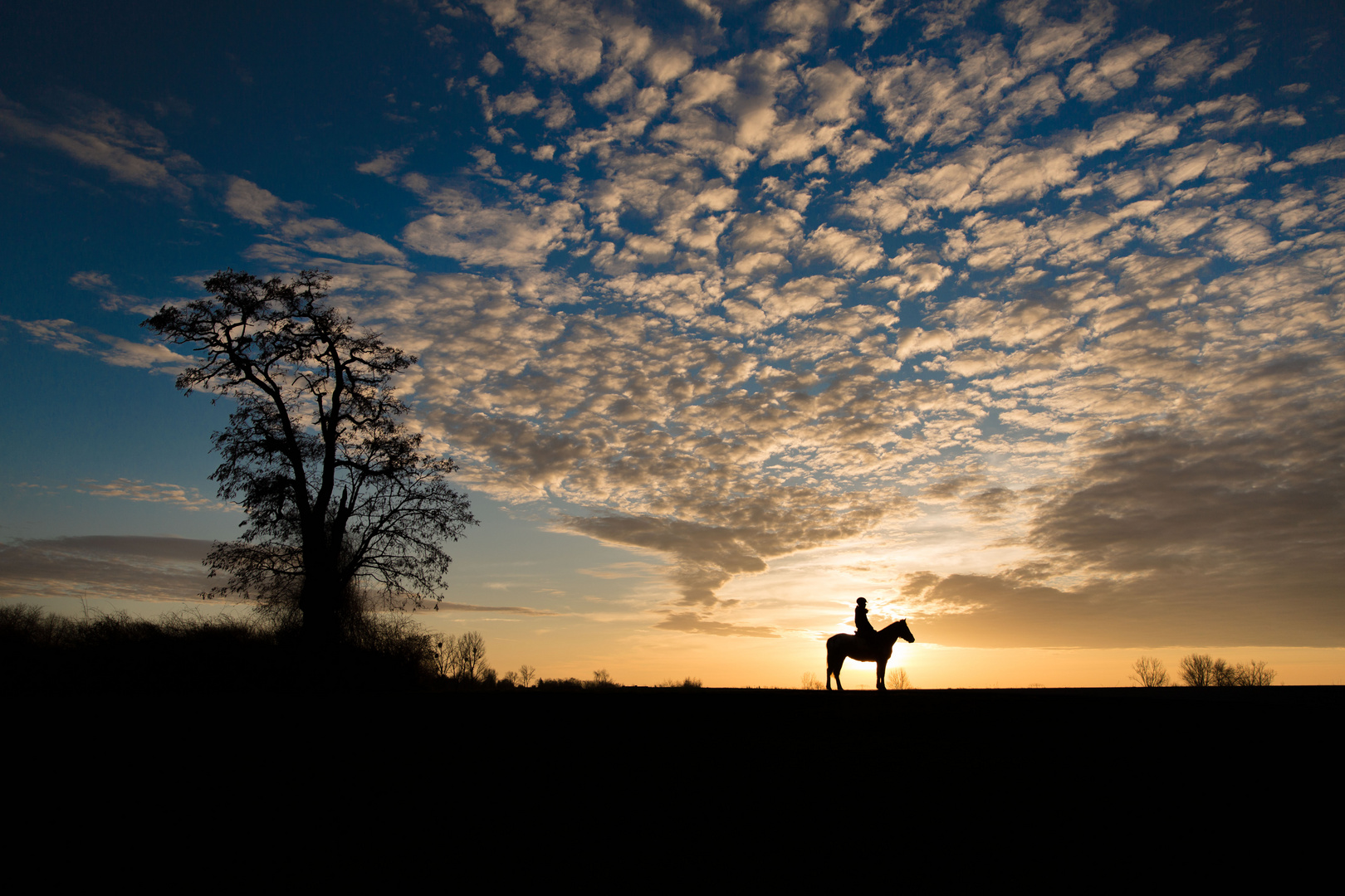 Sonnenuntergang mit Pferd und Reiter