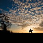 Sonnenuntergang mit Pferd und Reiter