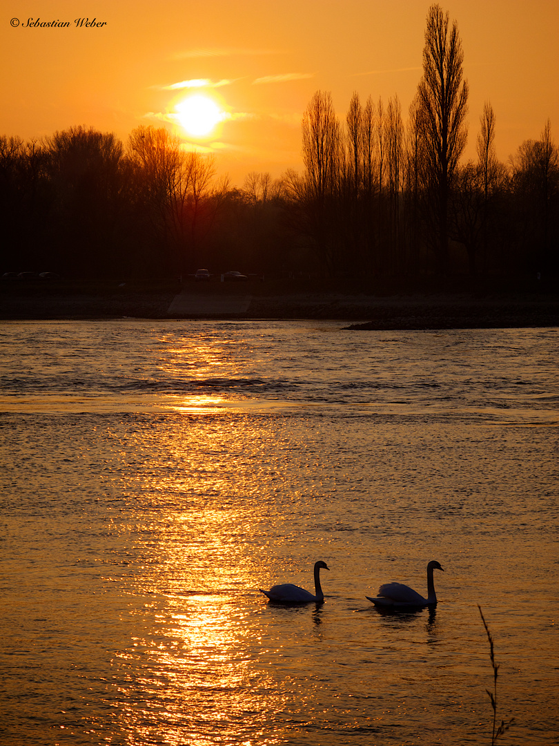 Sonnenuntergang mit Publikum